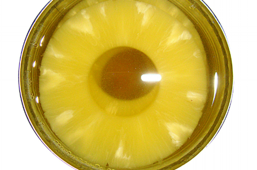 Canned Pineapple